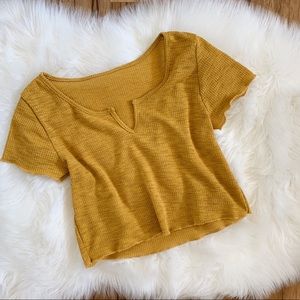 V Cut Crop Top